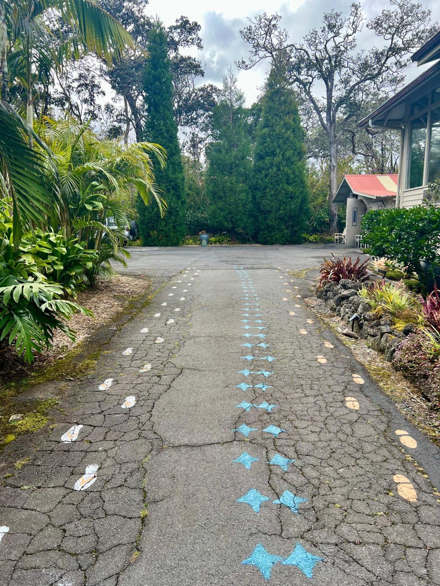 Aloha Junction Bed And Breakfast -Minutes Away From Hawaii Volcanoes National Park المظهر الخارجي الصورة