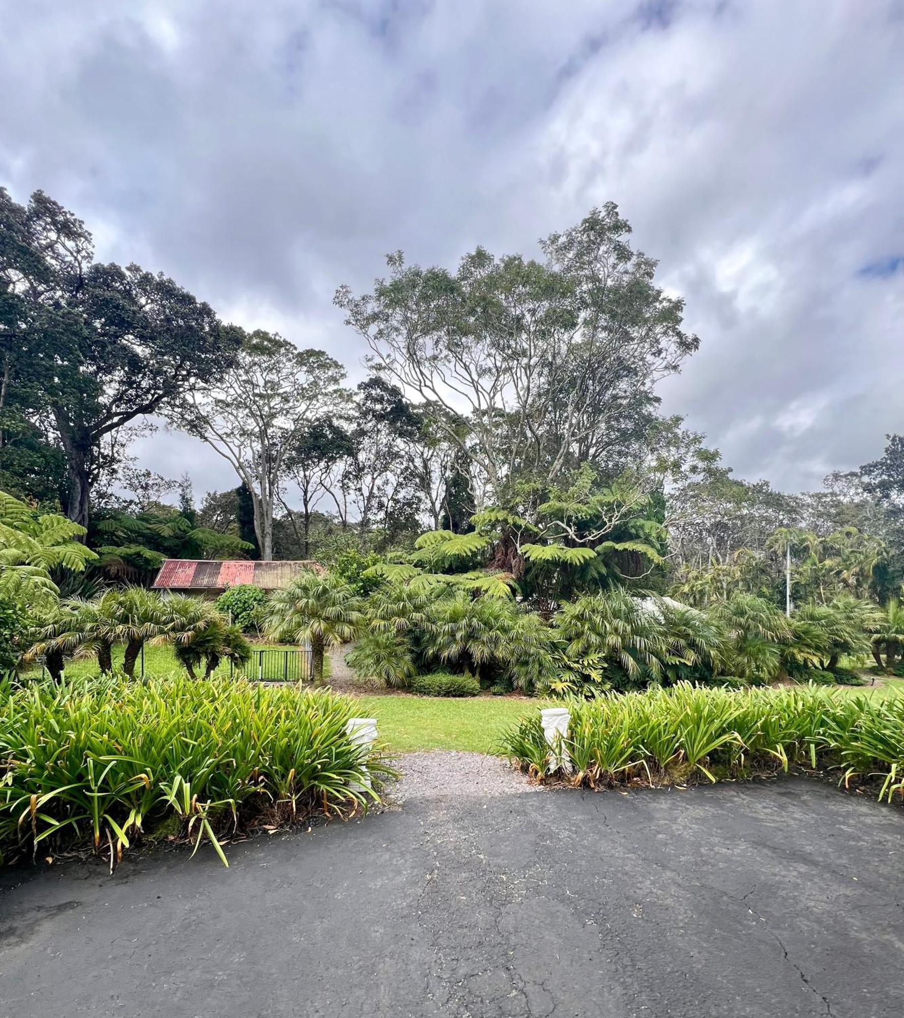 Aloha Junction Bed And Breakfast -Minutes Away From Hawaii Volcanoes National Park المظهر الخارجي الصورة