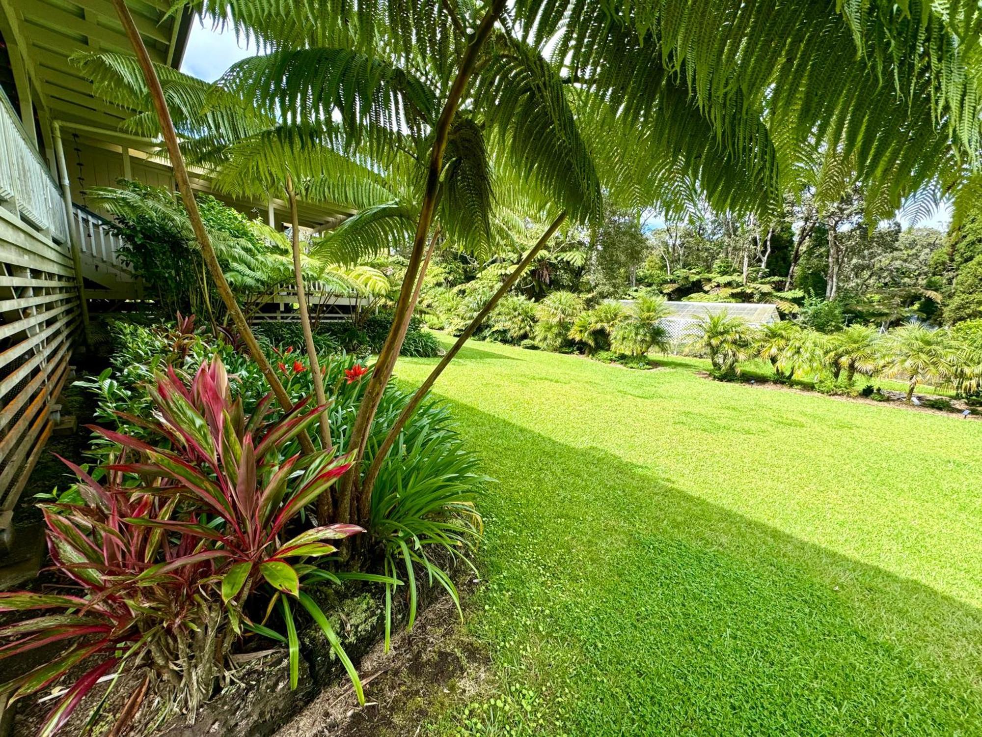 Aloha Junction Bed And Breakfast -Minutes Away From Hawaii Volcanoes National Park المظهر الخارجي الصورة