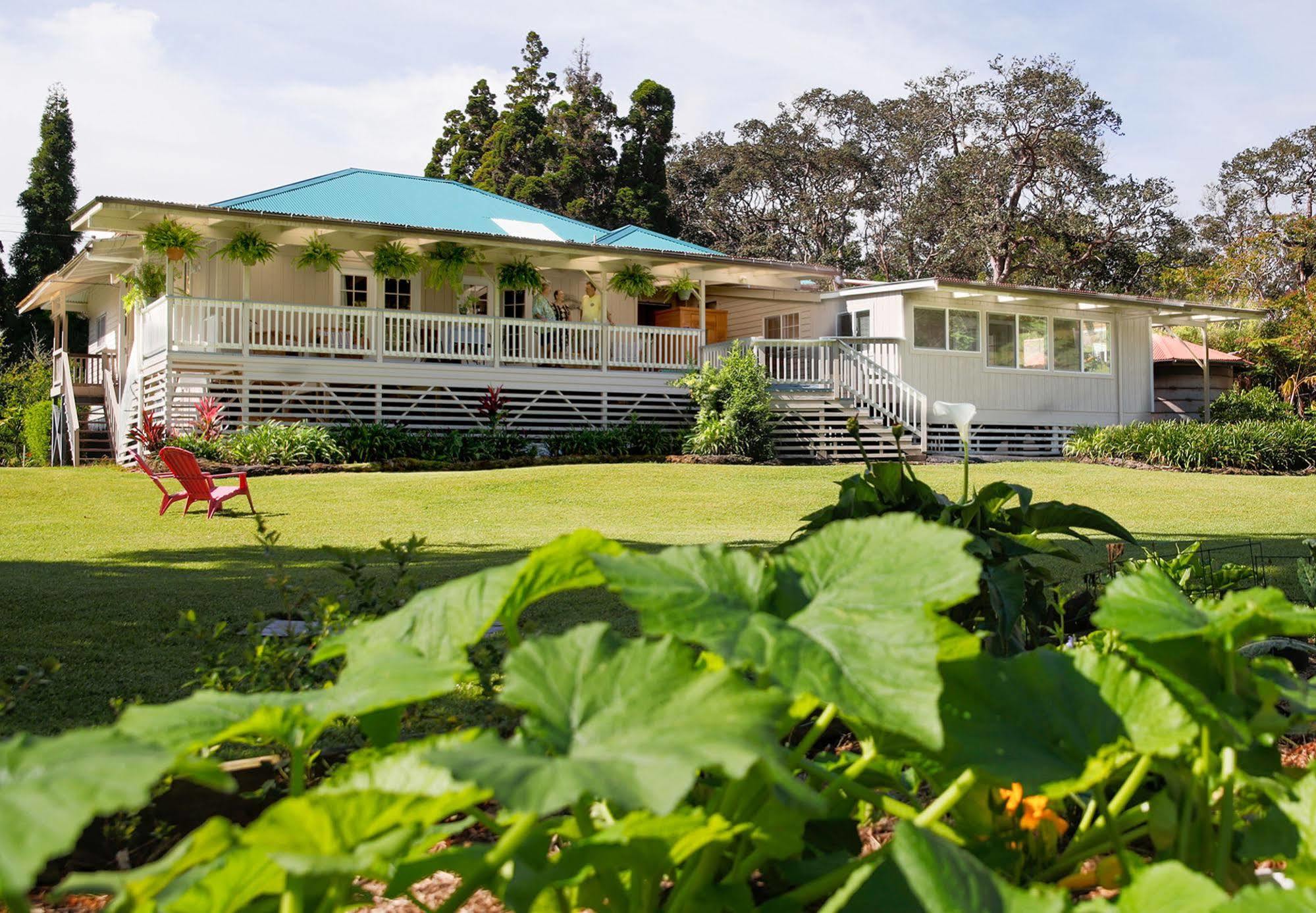Aloha Junction Bed And Breakfast -Minutes Away From Hawaii Volcanoes National Park المظهر الخارجي الصورة